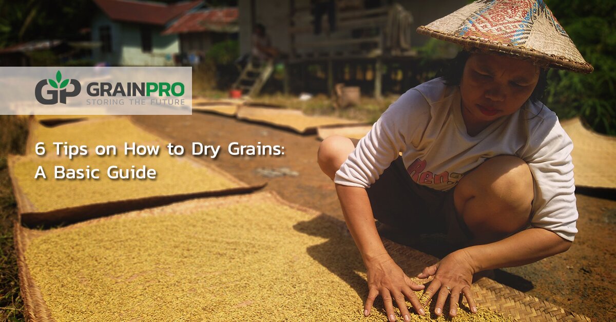 6 Tips on How to Dry Grains A Basic Guide